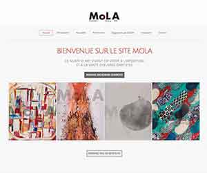 Création de site internet pas cher pour Musée Musée Mola Paris