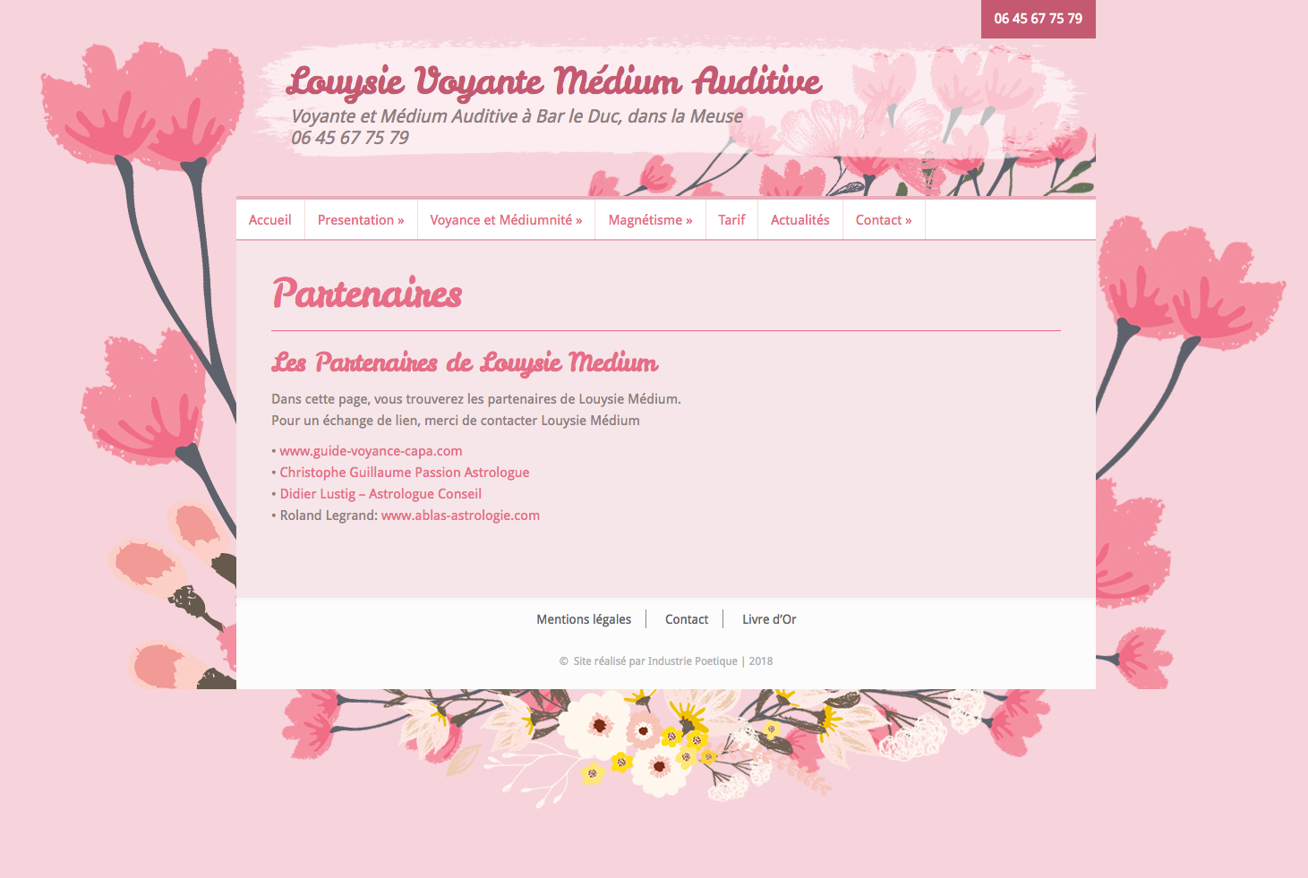 Exemples de Bas de Page, Footer, pour Site Internet 9- Exemple de footer simple et graphique avec menu