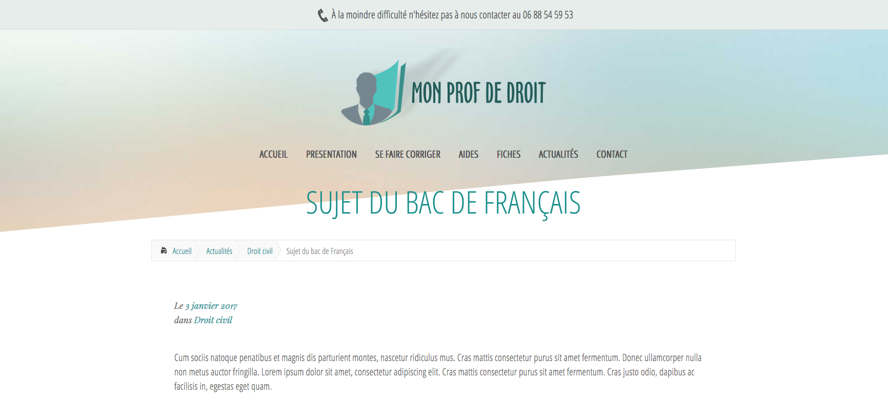 Exemples de Haut de Page, Header, pour Site Internet 26- Exemple d'header avec des i,nformations de contact